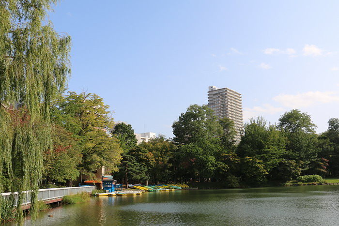 中島公園	