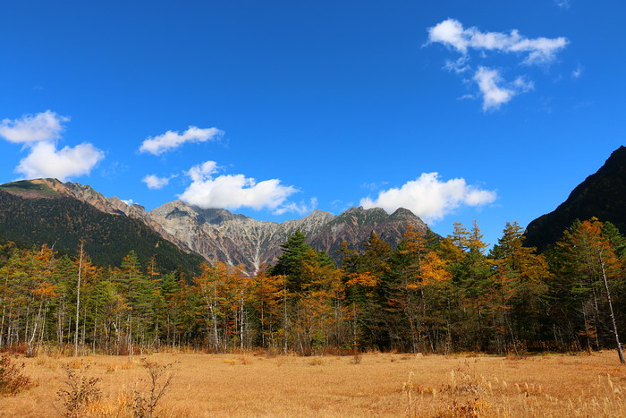 田代池