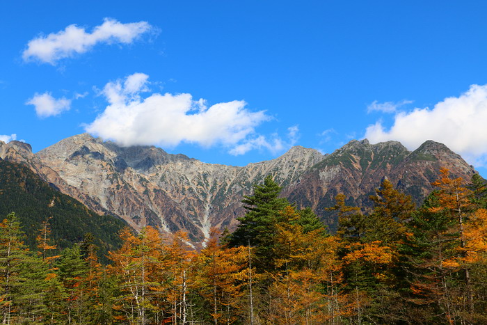 田代池