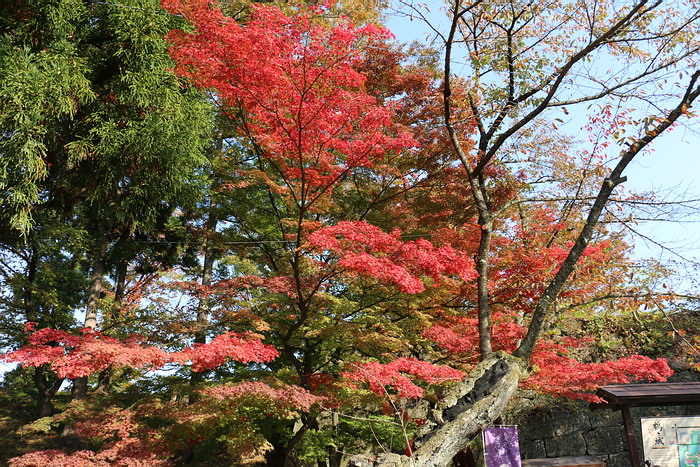 鶴ヶ城