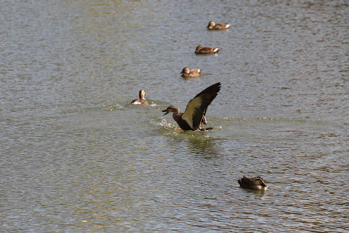 最上公園