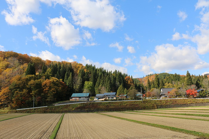 沿途風景