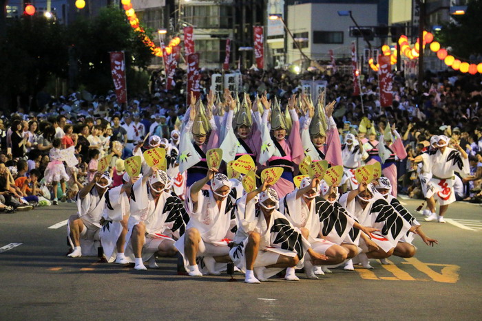 徳島阿波踊り