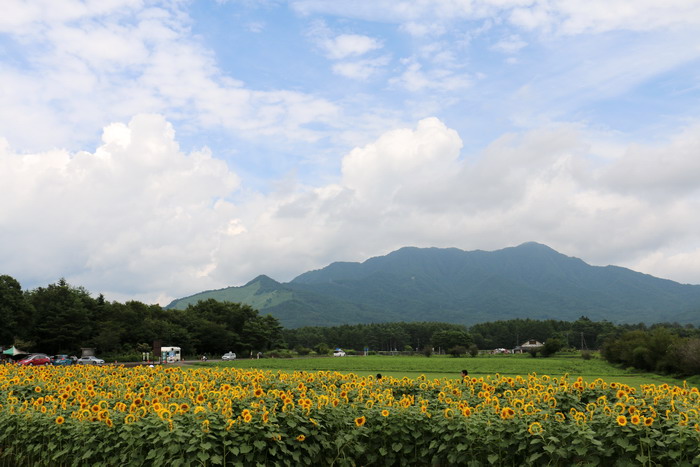 花の都公園