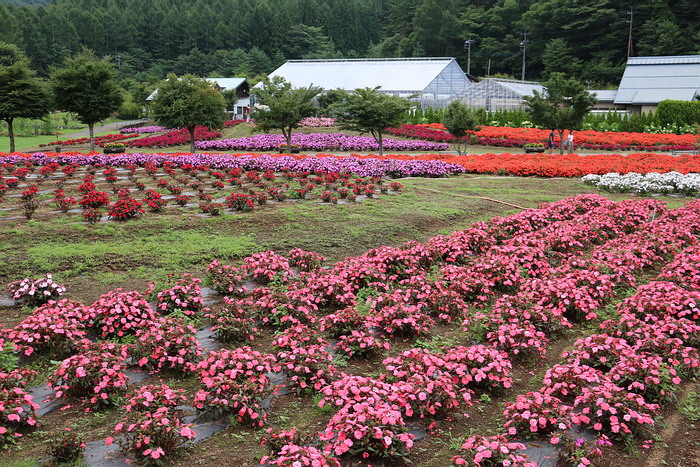 花の都公園