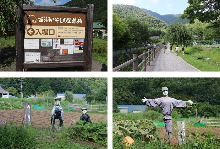 西湖いやしの里根場