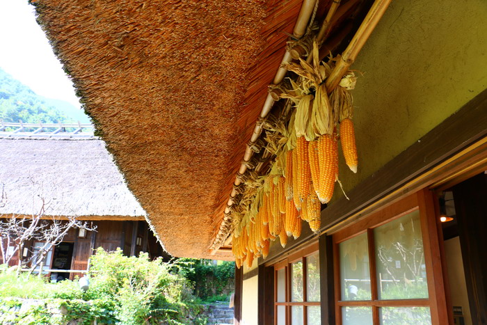 西湖いやしの里根場