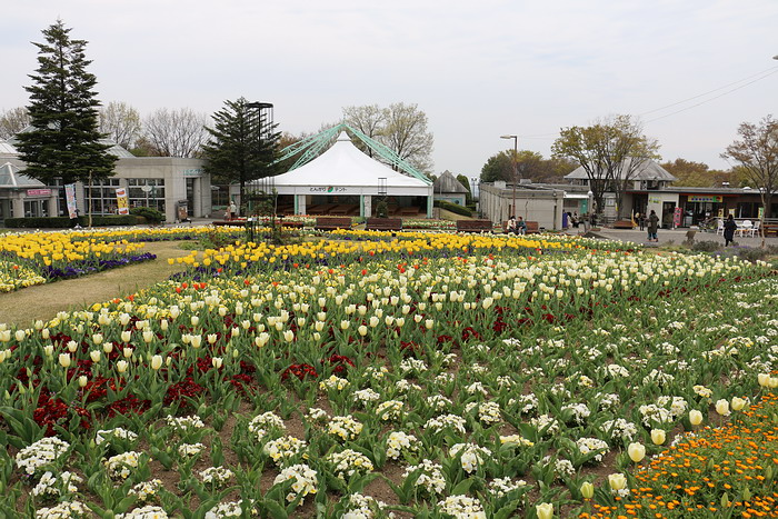 群馬花卉公園