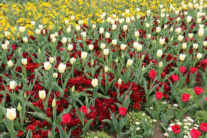 群馬花卉公園