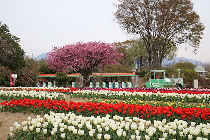 群馬花卉公園