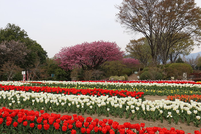 群馬花卉公園