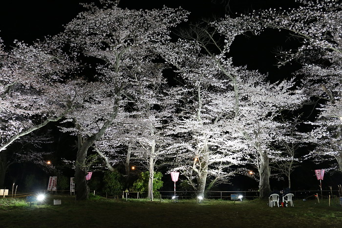 船岡城址公園